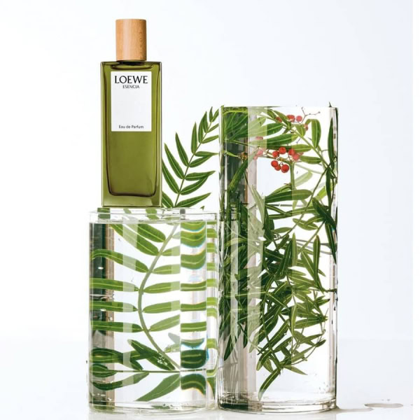 nuoc-hoa-loewe-esencia-pour-homme-edp-sneakerholicvn